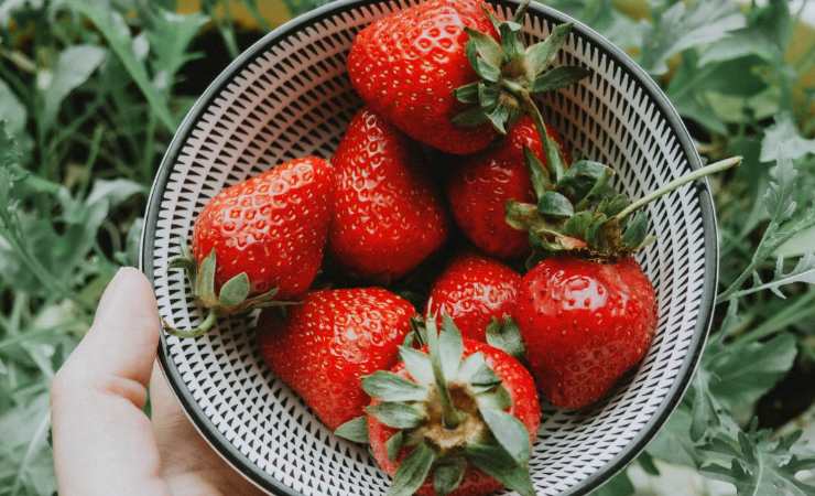 Fragole in un cestino