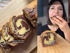 plumcake bicolore