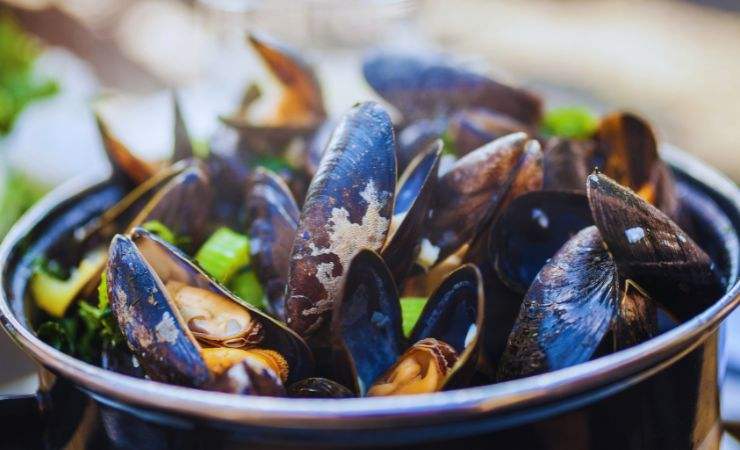cozze in un piatto