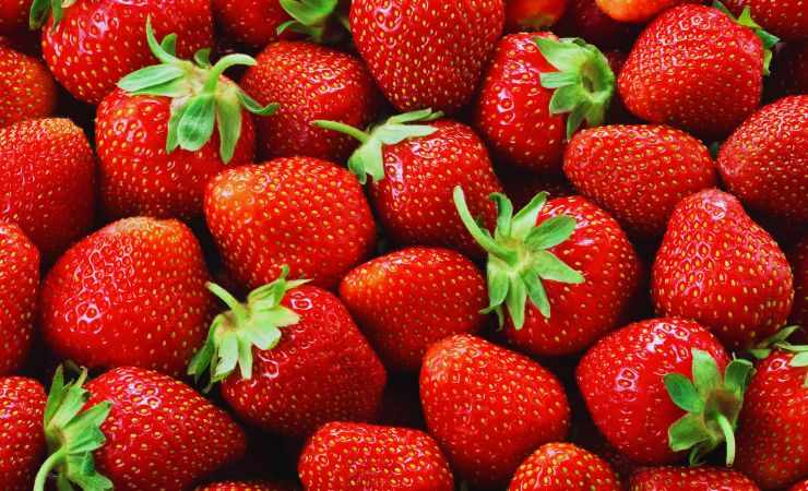 fragole