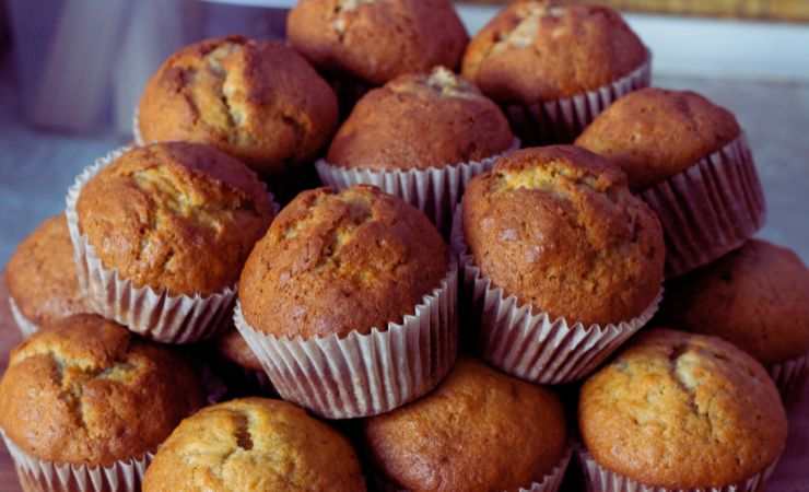 muffin