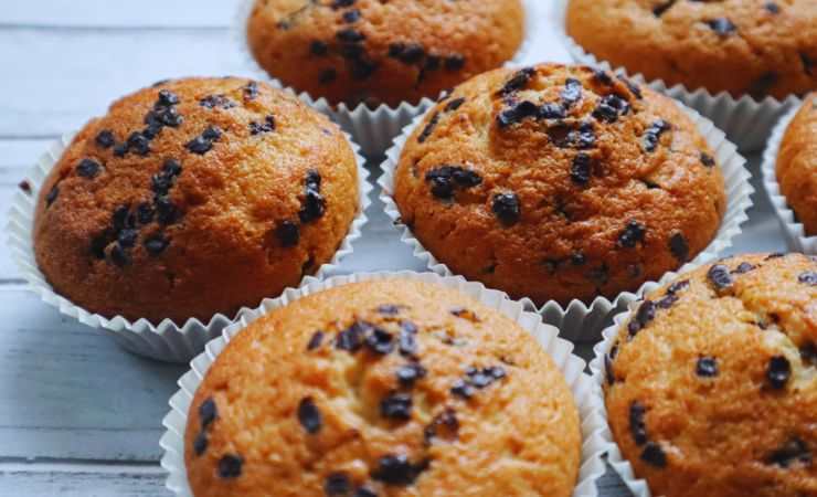 muffin