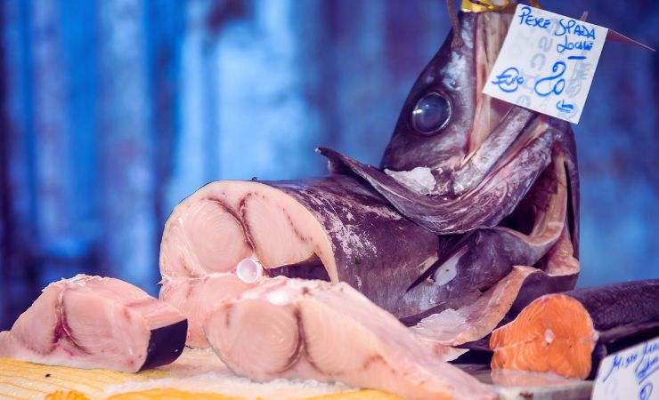 pesce spada