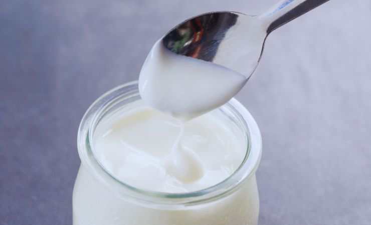 yogurt